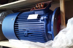 Y2系列三相異步電動(dòng)機(jī)