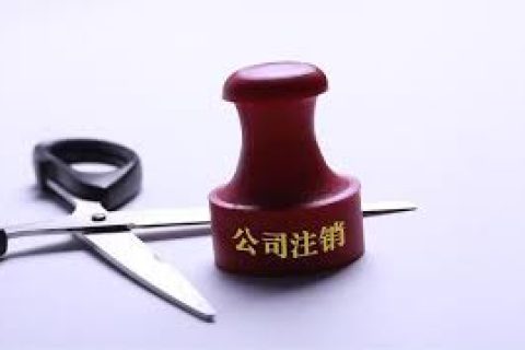 拉薩注銷一個公司，需要去幾個部門？整體時間需要多久？大概流程是怎樣的？